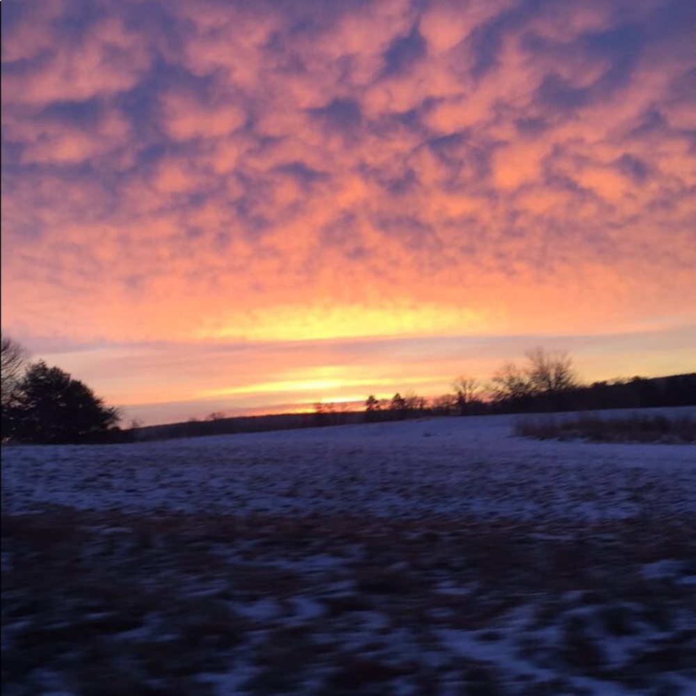 Meet your Posher, Mackenzie